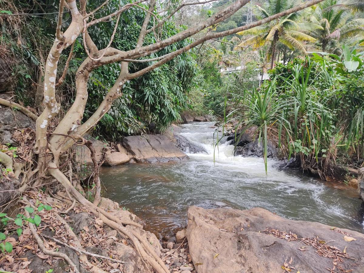 Riverbench Homestay Munnar, Anaviratty Екстериор снимка