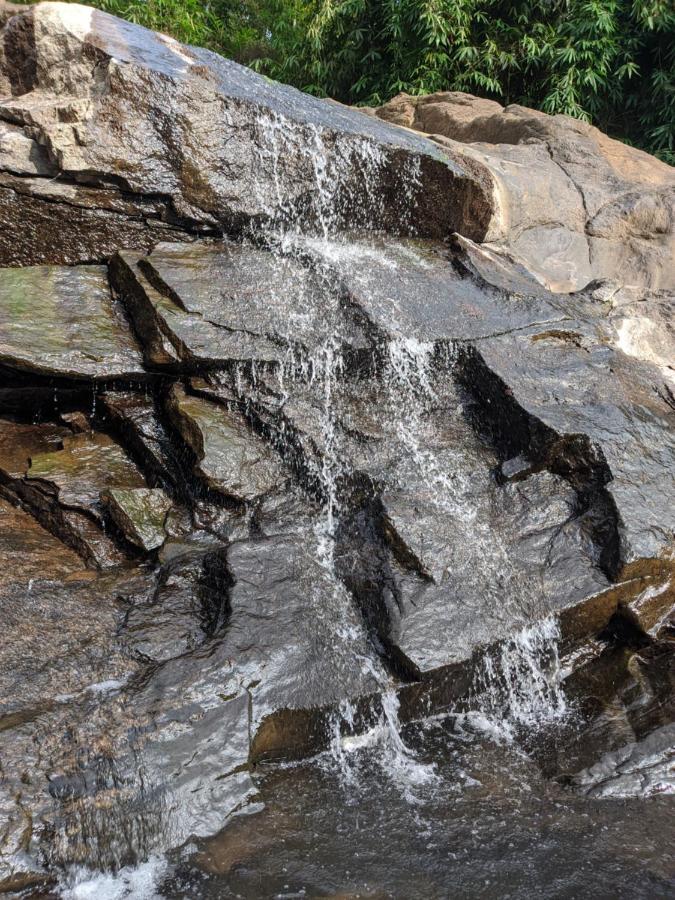 Riverbench Homestay Munnar, Anaviratty Екстериор снимка