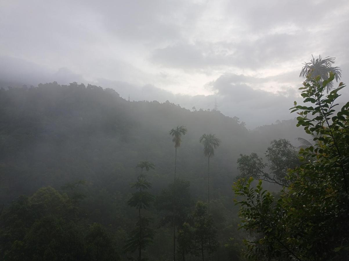 Riverbench Homestay Munnar, Anaviratty Екстериор снимка