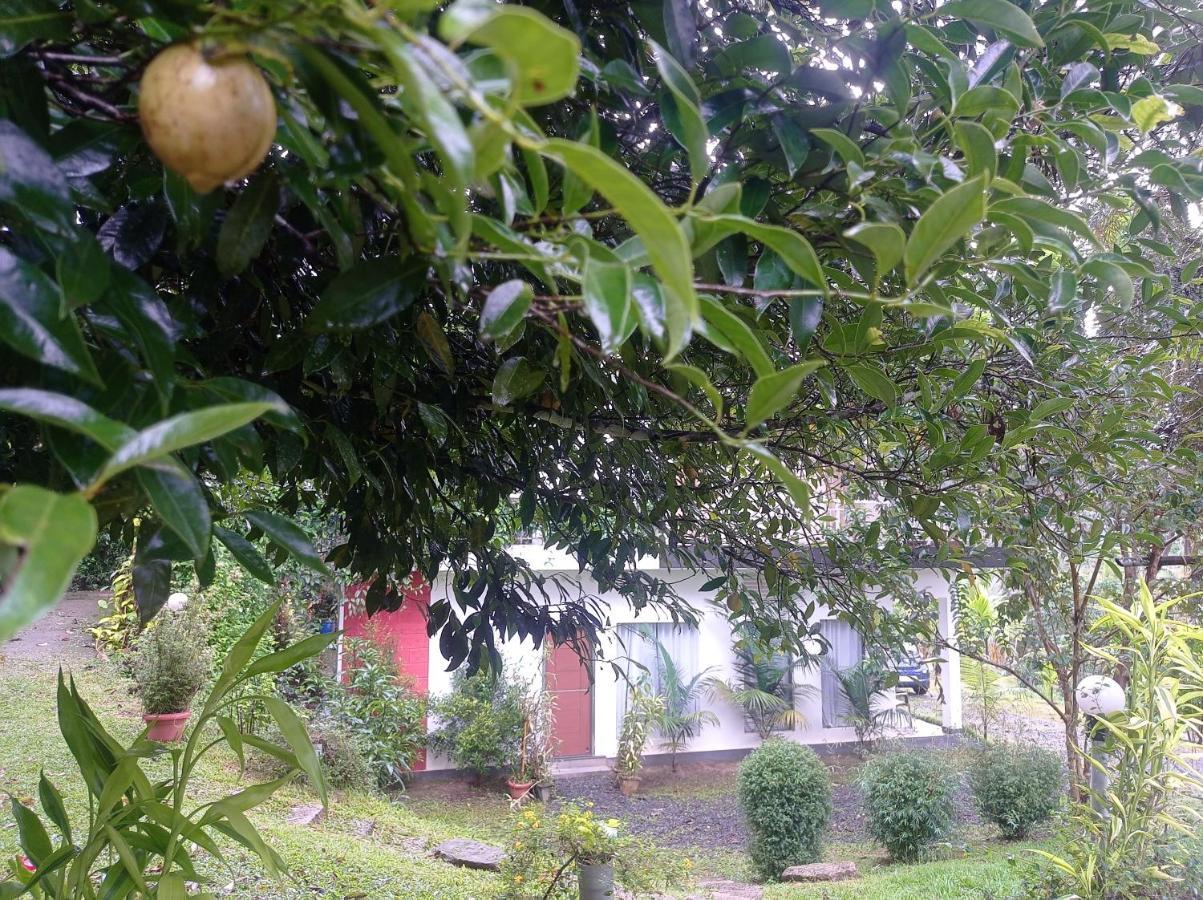Riverbench Homestay Munnar, Anaviratty Екстериор снимка