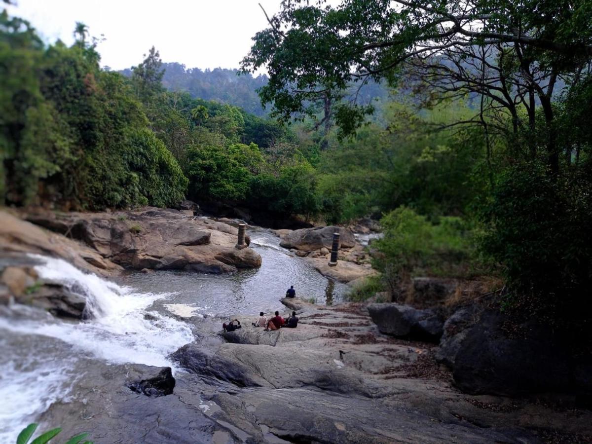 Riverbench Homestay Munnar, Anaviratty Екстериор снимка