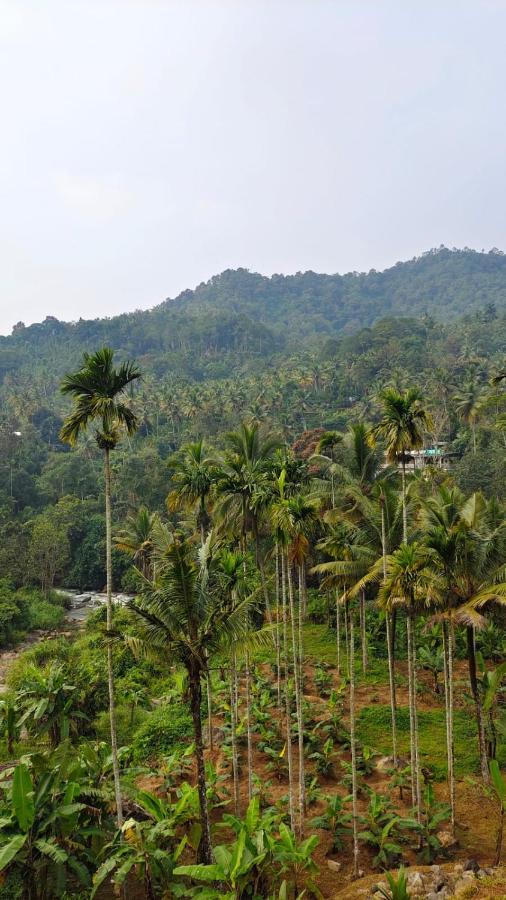 Riverbench Homestay Munnar, Anaviratty Екстериор снимка