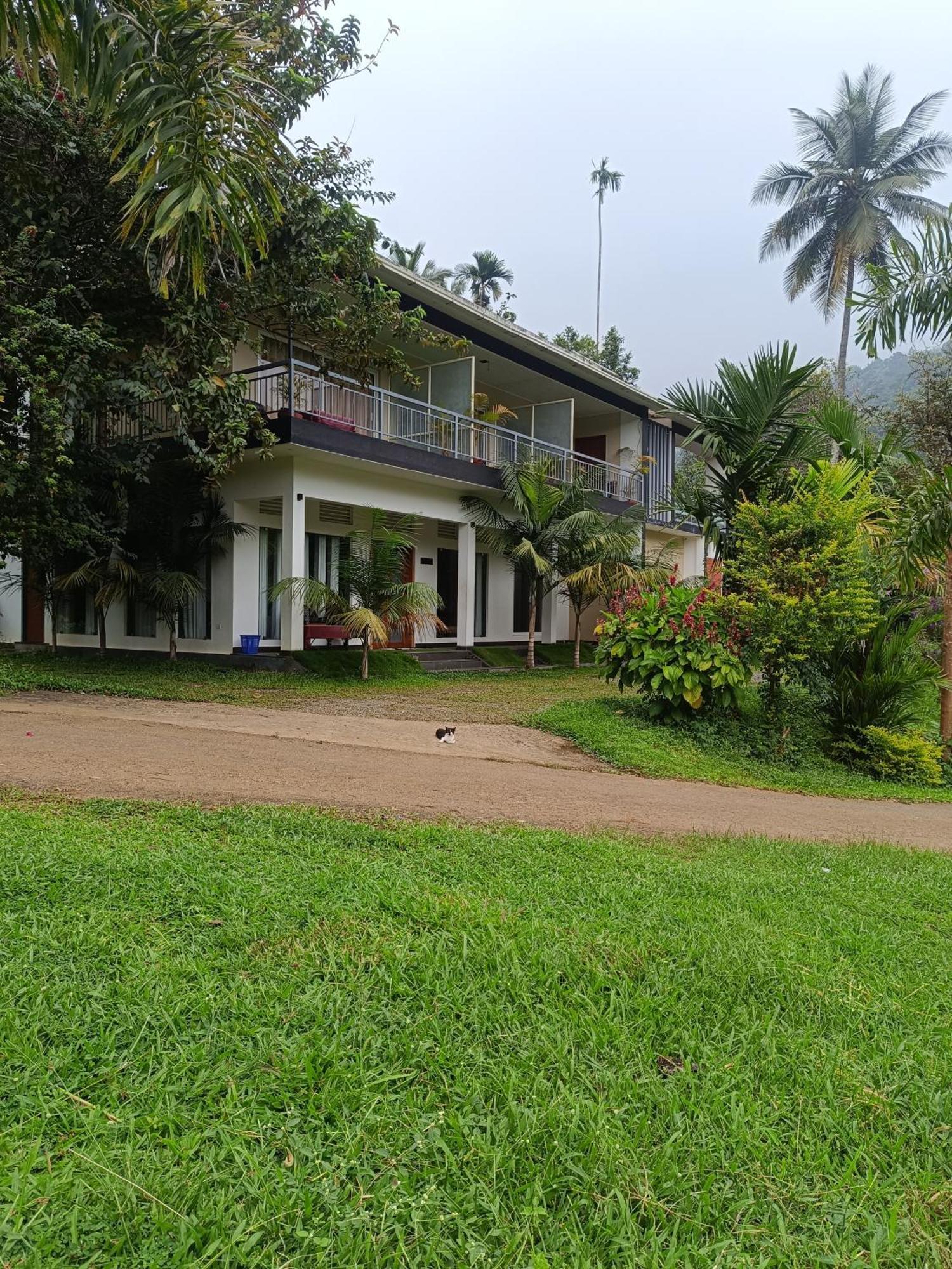 Riverbench Homestay Munnar, Anaviratty Екстериор снимка