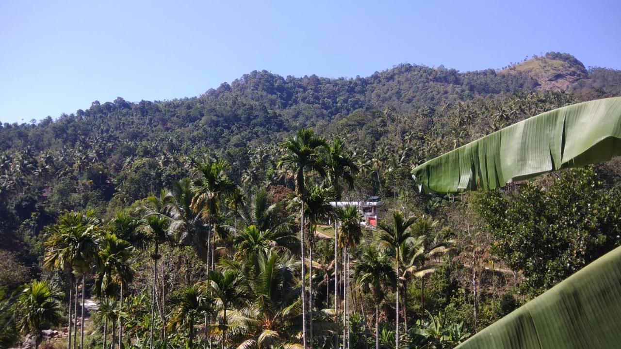 Riverbench Homestay Munnar, Anaviratty Екстериор снимка